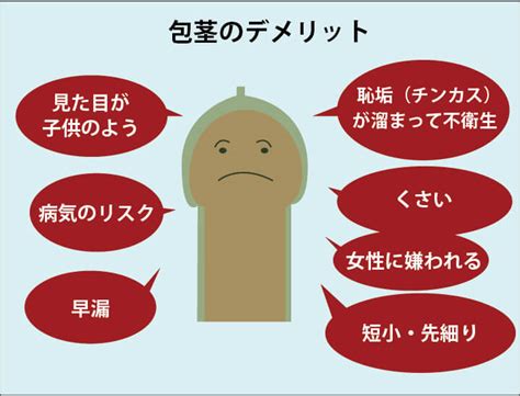 【医師監修】包茎の種類は3タイプ。タイプ別の原因とリスク、。